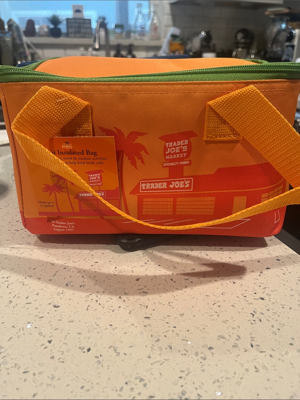 Trader Joe’s Orange and Green Mini Insulated Tote Cooler